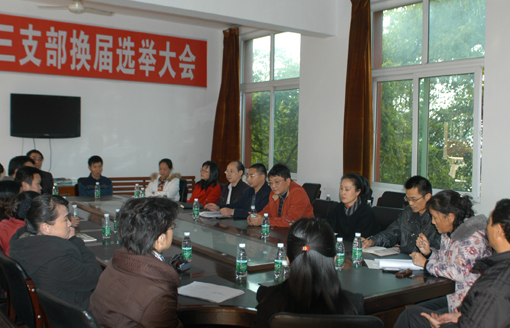 民盟攀钢第三支部换届选举圆满成功
