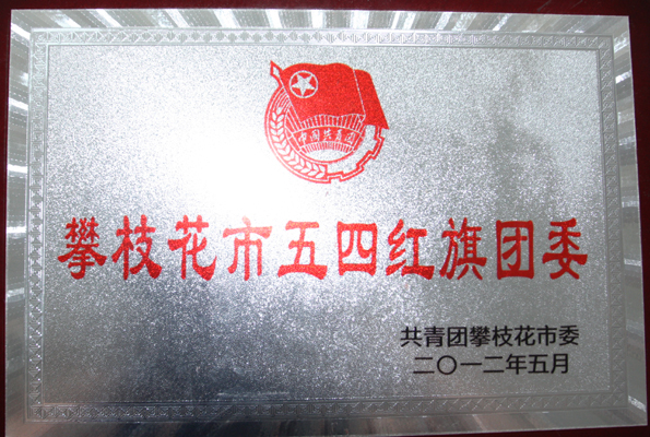 院团委荣膺攀枝花市红旗团委称号
